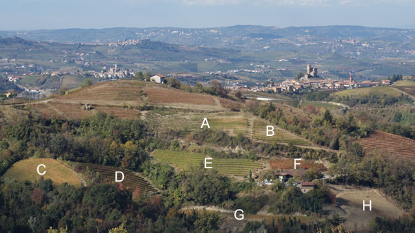 Aufnahme Weinberge Mucci Google Earth